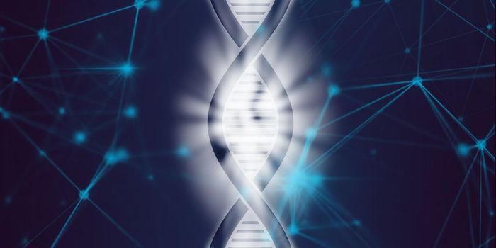 Dietary Supplements Treat Genetic Cause of PTSD