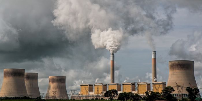 New Proposal Suggests the Anthropocene Began in the 1950s