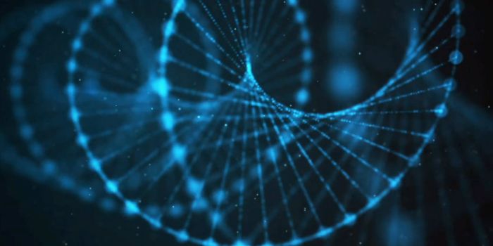 Using Machine Learning to Analyze Gene Regulation