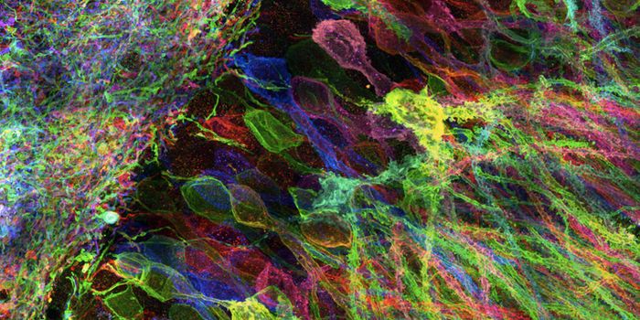 Getting High-resolution Images from Conventional Microscopes