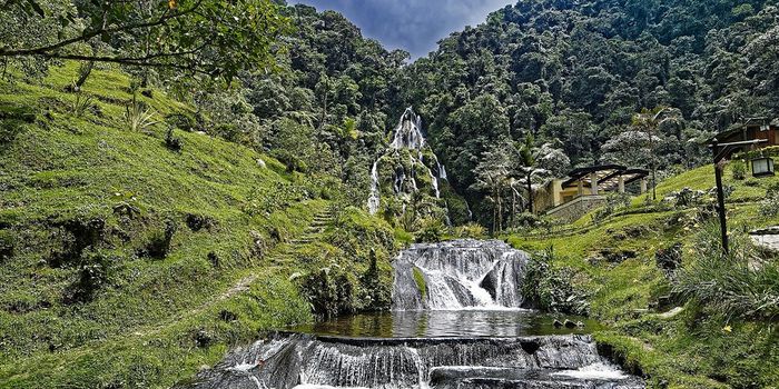 World Environment Day 2020 Celebrates Biodiversity