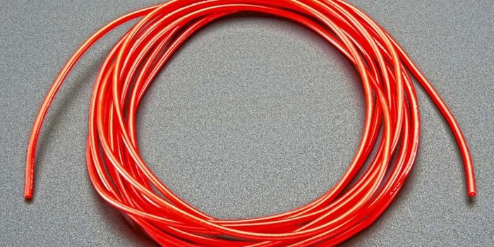 Unstable blood vessels seen in autistic brains