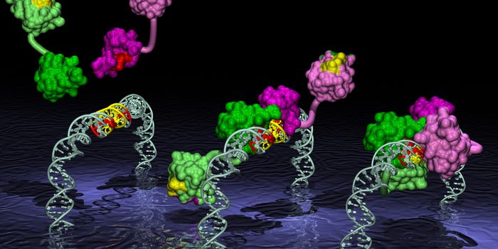 RNA-Binding Proteins Lay Groundwork For Heart Disease Cures