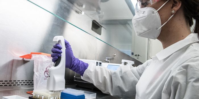 Cell Therapy Scrubs Tumors, Spares Transplanted Organs