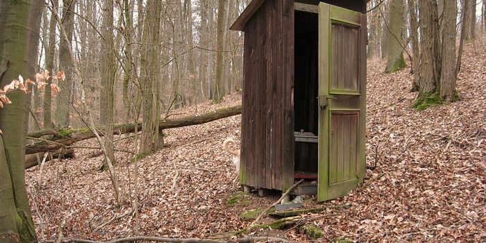 How can we quantify the sanitation services of nature?