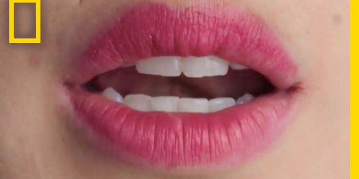 Can you read my lips?