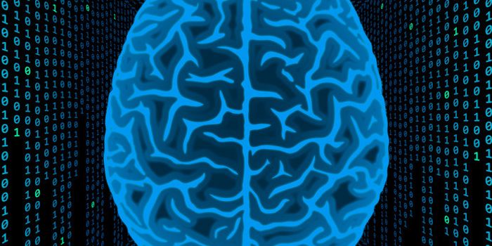 Protein in the Brain Can 'Put the Brakes' On Binge Drinking