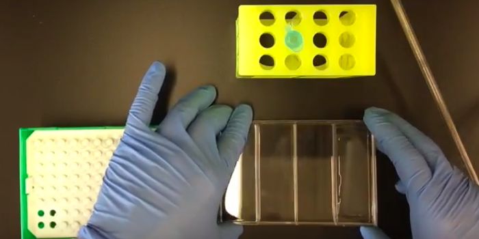 Bringing Single Cell RNA Sequencing to the Masses