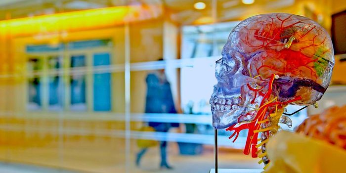 Young People with COVID-19 Die from Stroke