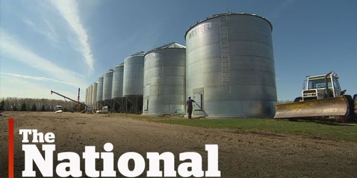 Number of Young Farmers is on the Rise in Canada