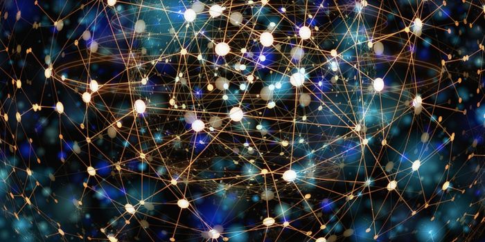 With Expansion Microscopy, Scientists See Fundamental Cellular Processes