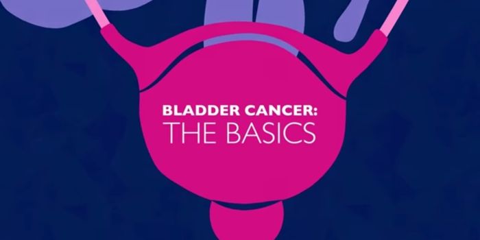 Bladder Cancer Basics