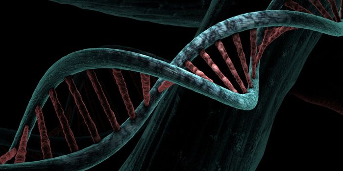 New Genetic Variants Identified as Risk Factors for Ovarian Cancer