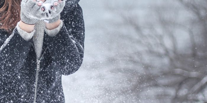 Scientists Discover a "Thermal Cortex" in the Posterior Brain Region