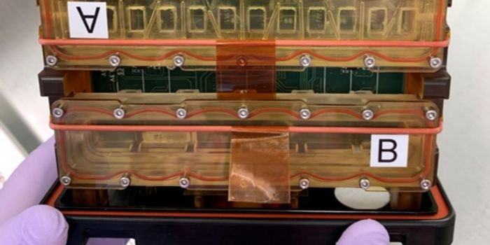 Heart "Tissue-on-a-Chip" Heading to International Space Station