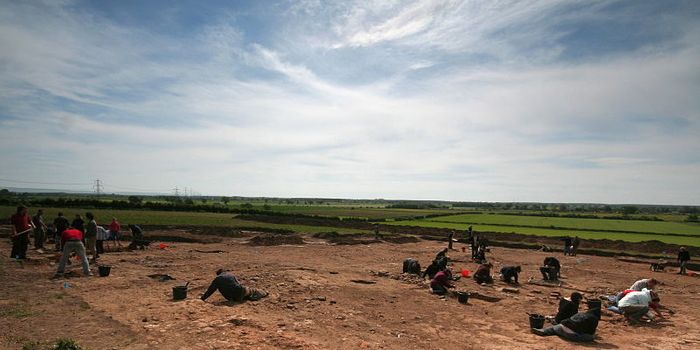 Want to preserve your brain? Have it packed in mud