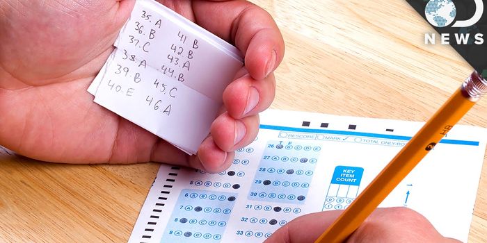 So you say you don't cheat