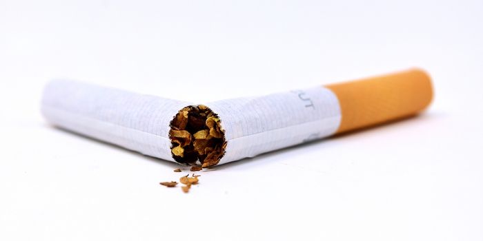Study Compares Perceptions of Secondhand Smoke Risks: Cannabis Vs. Tobacco