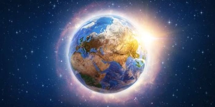 Bottom burrowing animals were first to recover after last mass extinction