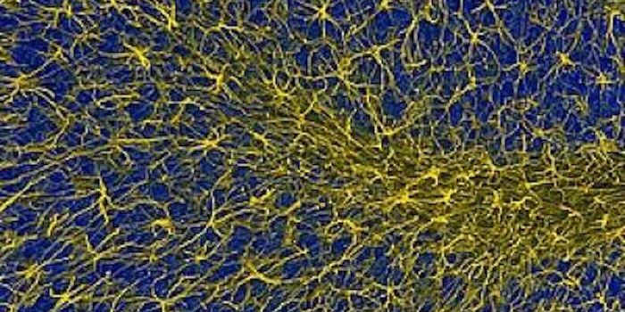 Insight Into the Cause of Huntington's Disease, and a Potential Treatment