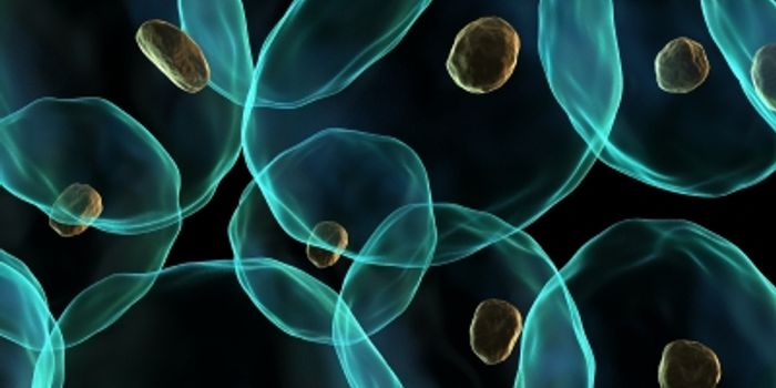 Stabilizing the Ultimate Tumor Suppressor