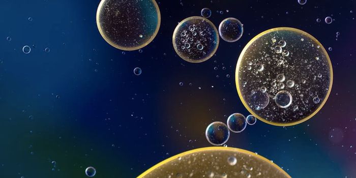 A Protein That Helps Mitochondria Get the Antioxidants They Need