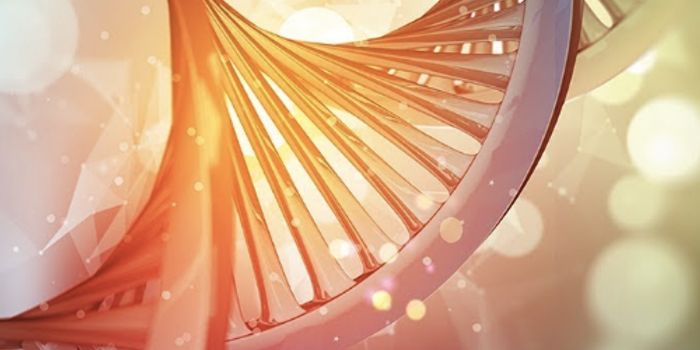 Do our Genes Influence our Political Beliefs?