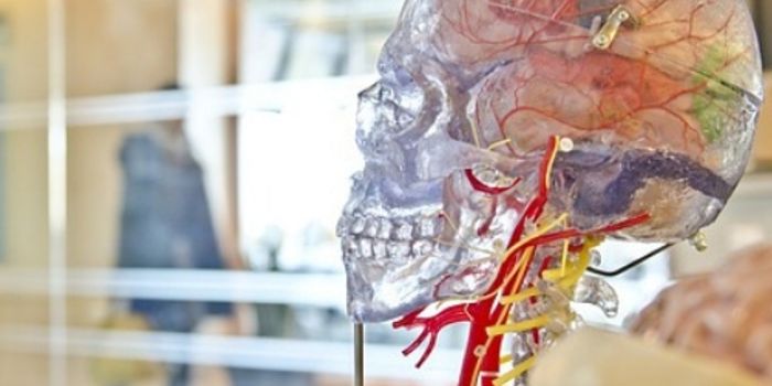 A New Science Center For Brain Research