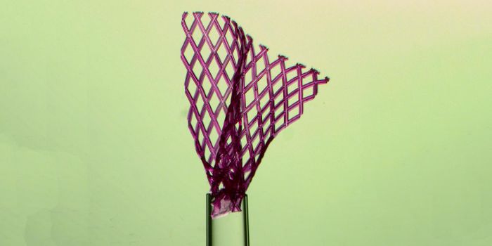 Molecular Band-Aid Repairs Heart Muscle Tissue