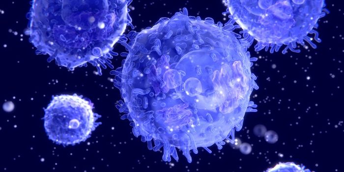 T Cells "Loosen Up" to Recognize Pathogens Better and Faster