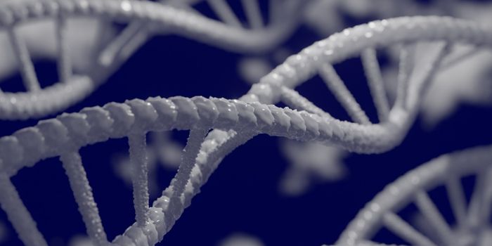 DHX29 - A Genetic 'Quality Control' System