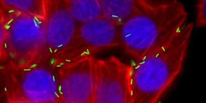 A Bacterial Protein That Causes Nausea