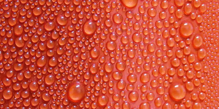 Biofilm can Convert Energy from Evaporation into Electricity