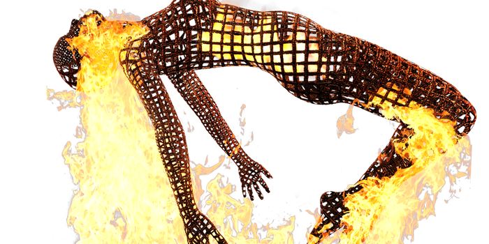 Cannabis as a Prospective Treatment for Fibromyalgia? - Emerging Evidence