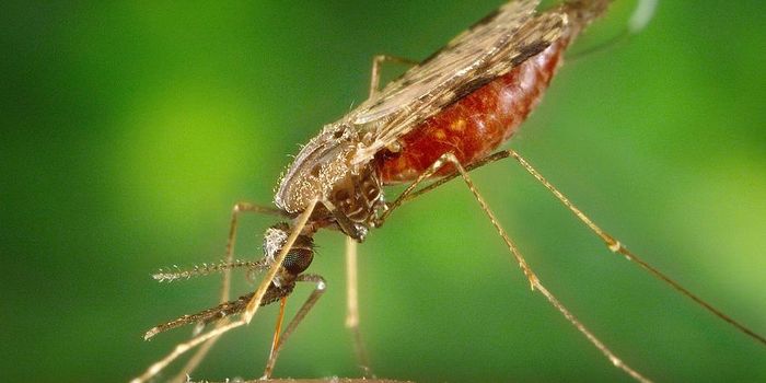 Crystallography Solves Unknown Structure of Novel Mosquito Toxin That Can Help Control Zika