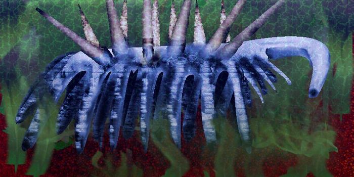 Heads Up! Hallucigenia Finally Knows Which Way Is Up.