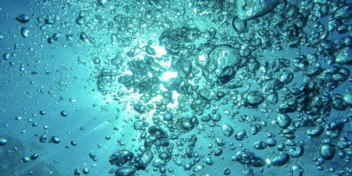 Unleashing the Genetic Power of Ocean Microbes