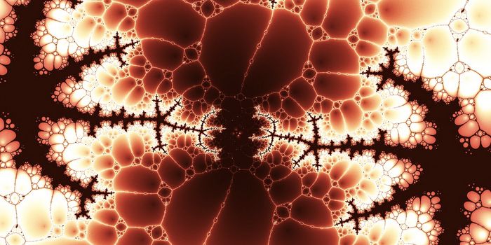 Visualizing & Identifying Active mRNA in the Cell