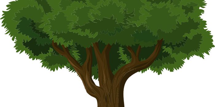 New artificial enzyme breaks down tough, woody lignin