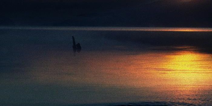 Loch Ness Monster Unlikely to Be a Giant Eel, New Study Finds