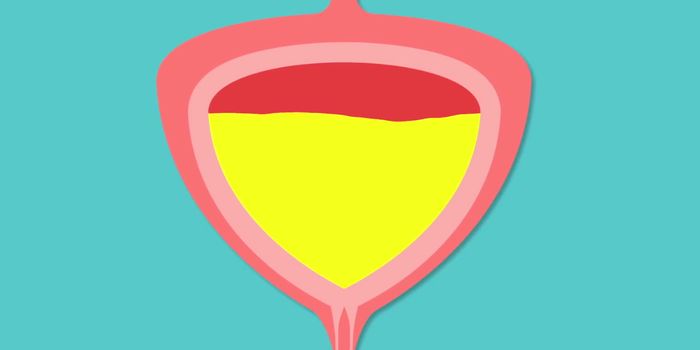 Here's Why You Shouldn't Hold Your Pee for Too Long