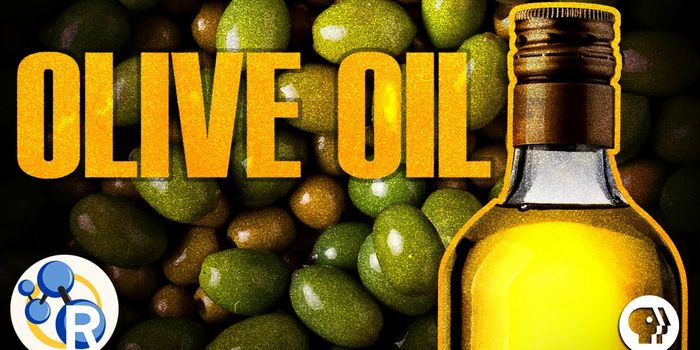 Why Olive Oil is Good For the Heart