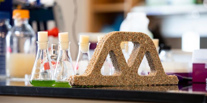 Microbes Create a More Sustainable Building Material