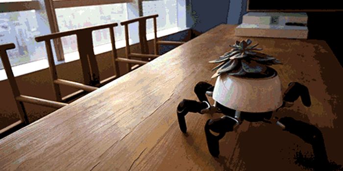 Watch: HEXA Robot Takes Care of Plants