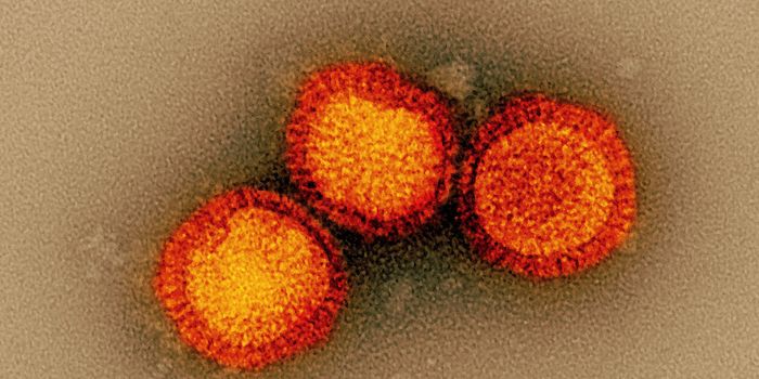 An Improved Understanding of 'Original Antigenic Sin'