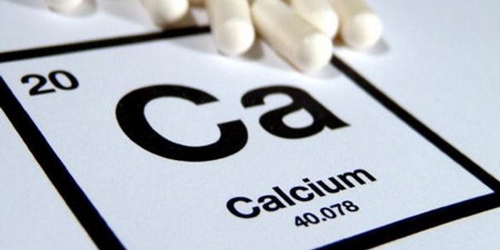 Scripps Florida Scientists Shed New Light on the Role of Calcium in Learning and Memory