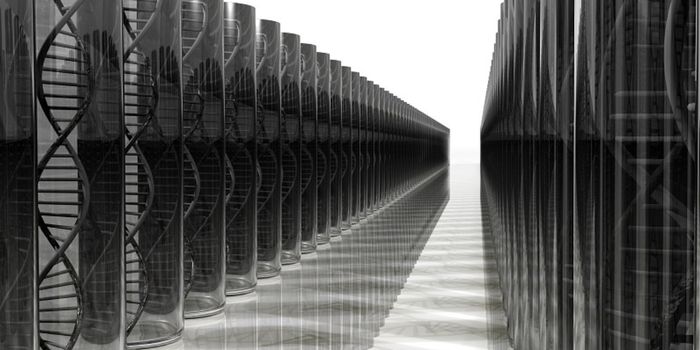 An Unusual Mutation Helps Explain the Genetics of Autism