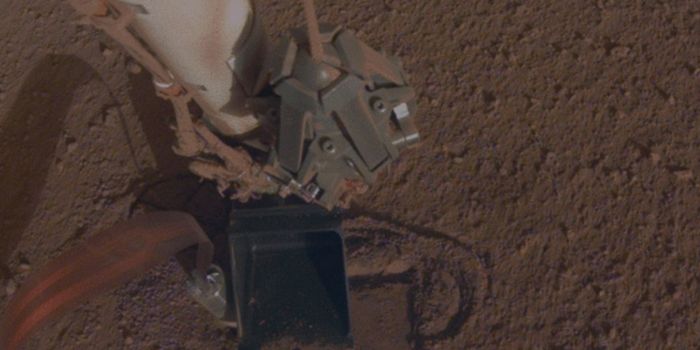 InSight Lander's Stymied 'Mole' On the Move Again
