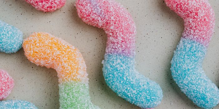 Parasitic Worms Help Unravel the Immune Mechanisms Underlying Chronic Disease