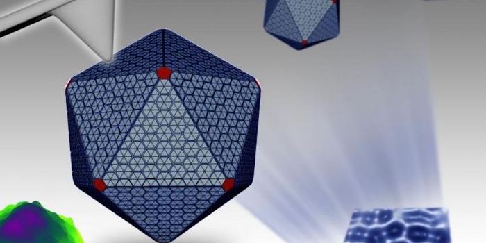 Revealing the Structure of Bacterial Machines